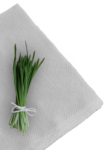 bundle of herbs